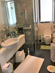 D'Leedon (D10), Condominium #180649802